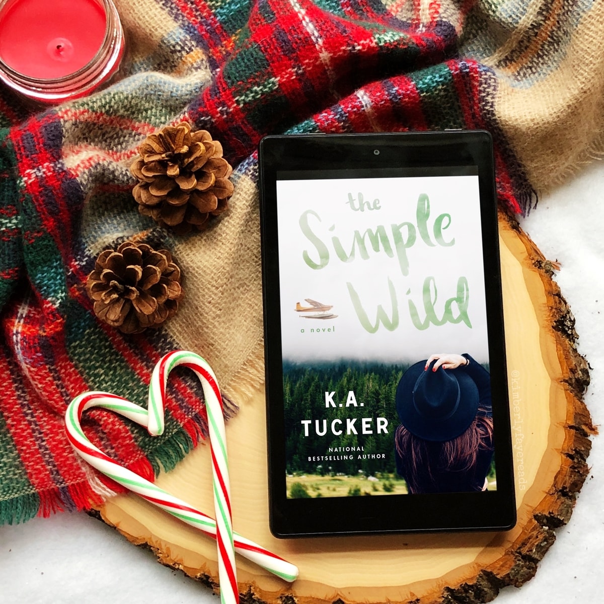In Review: The Simple Wild (Wild #1) by K.A. Tucker